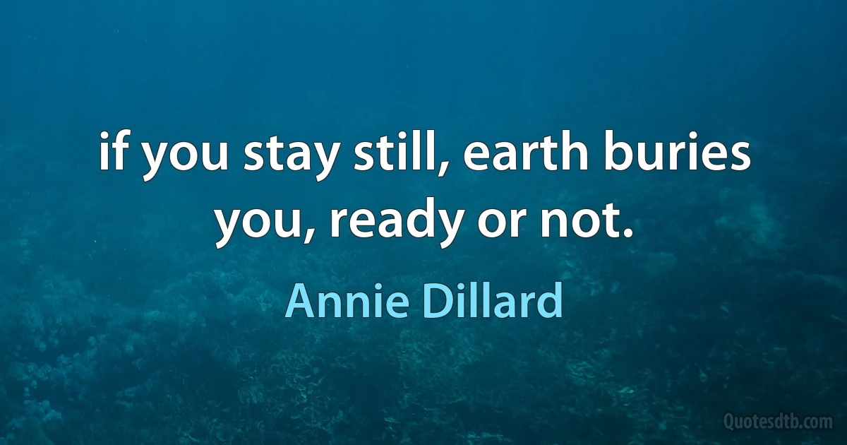 if you stay still, earth buries you, ready or not. (Annie Dillard)