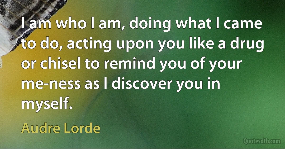 I am who I am, doing what I came to do, acting upon you like a drug or chisel to remind you of your me-ness as I discover you in myself. (Audre Lorde)