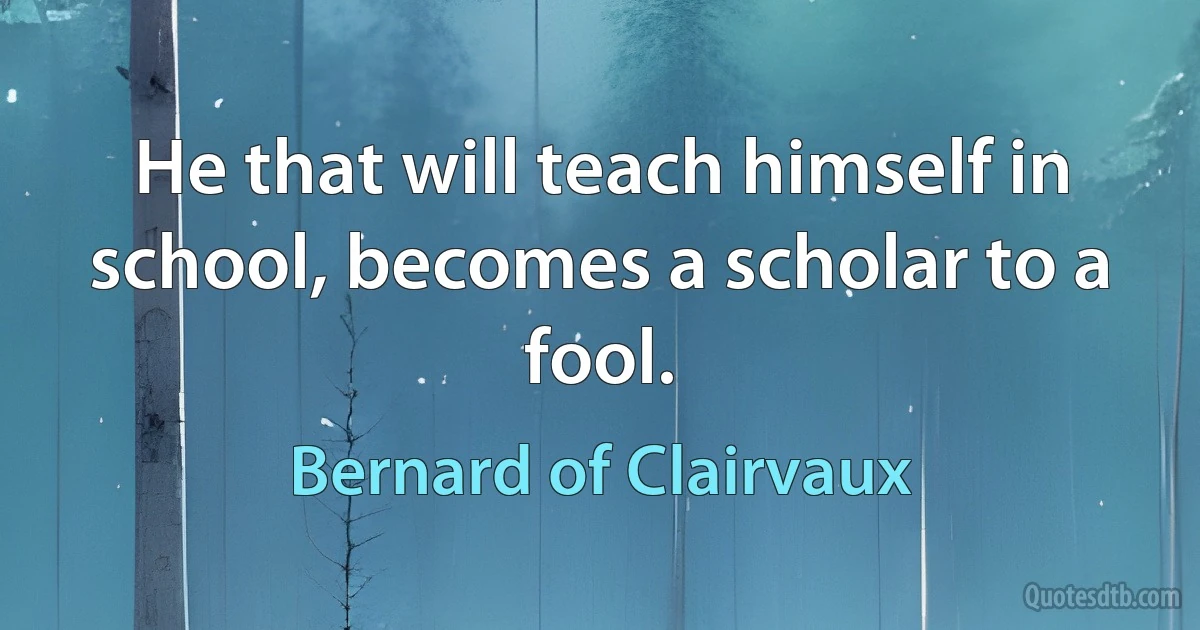 He that will teach himself in school, becomes a scholar to a fool. (Bernard of Clairvaux)