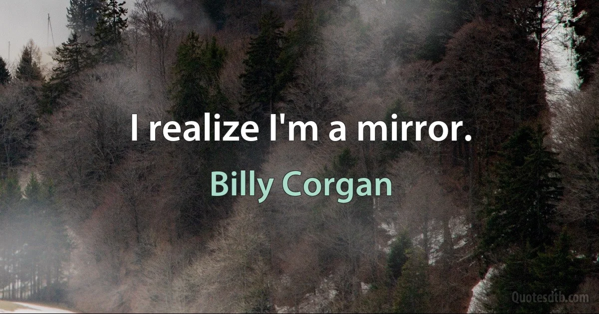 I realize I'm a mirror. (Billy Corgan)