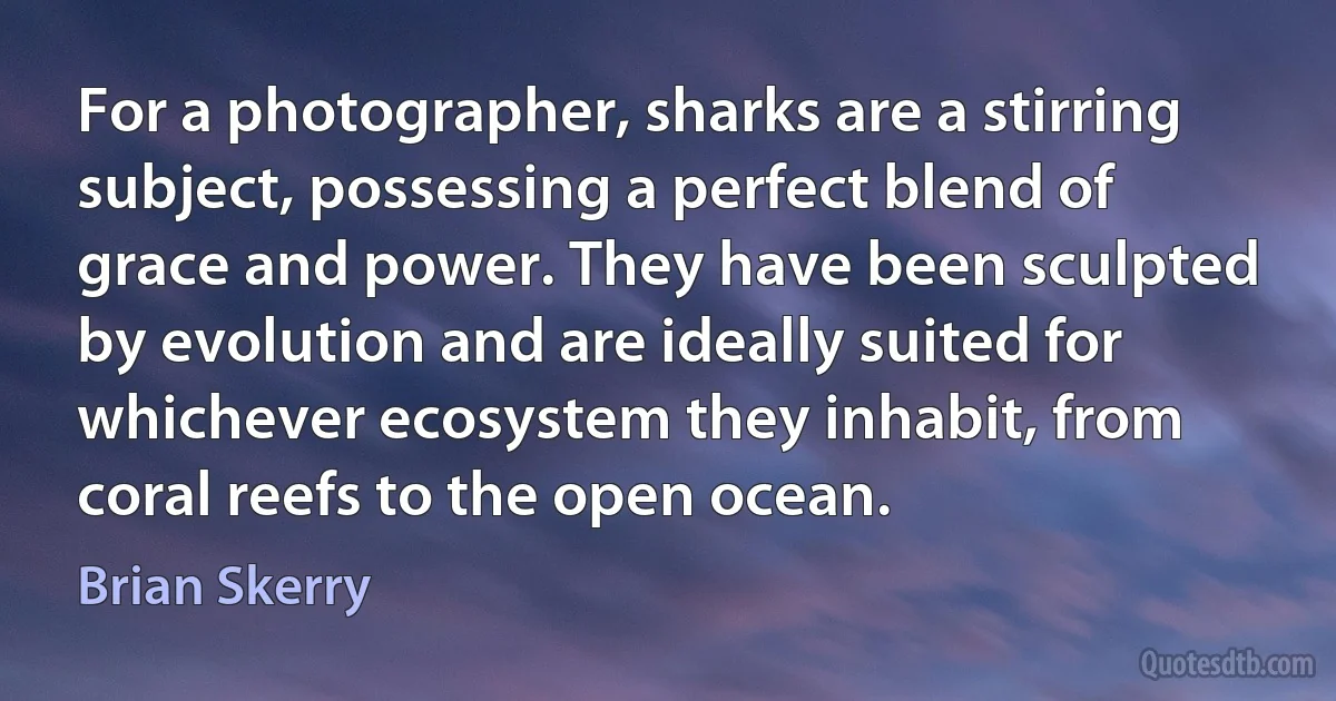 For a photographer, sharks are a stirring subject, possessing a perfect blend of grace and power. They have been sculpted by evolution and are ideally suited for whichever ecosystem they inhabit, from coral reefs to the open ocean. (Brian Skerry)