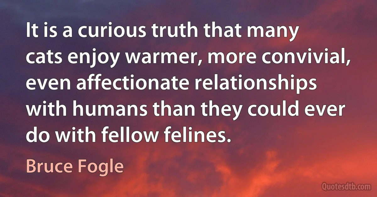 It is a curious truth that many cats enjoy warmer, more convivial, even affectionate relationships with humans than they could ever do with fellow felines. (Bruce Fogle)