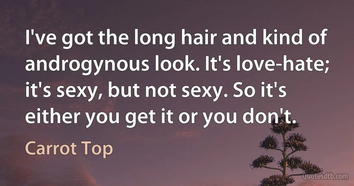 I've got the long hair and kind of androgynous look. It's love-hate; it's sexy, but not sexy. So it's either you get it or you don't. (Carrot Top)