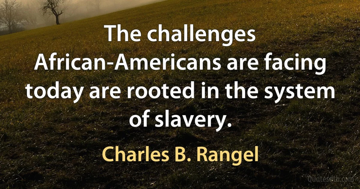 The challenges African-Americans are facing today are rooted in the system of slavery. (Charles B. Rangel)