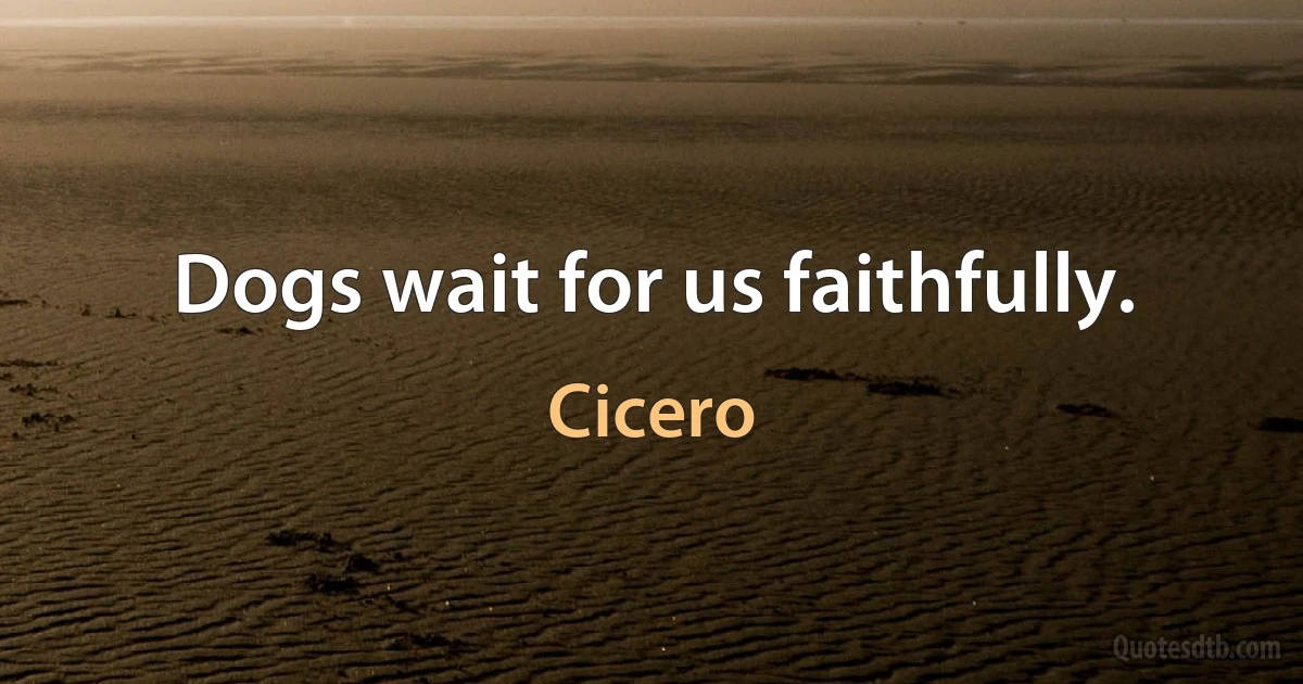 Dogs wait for us faithfully. (Cicero)