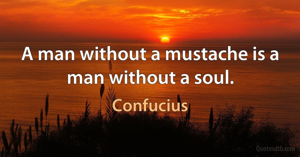 A man without a mustache is a man without a soul. (Confucius)