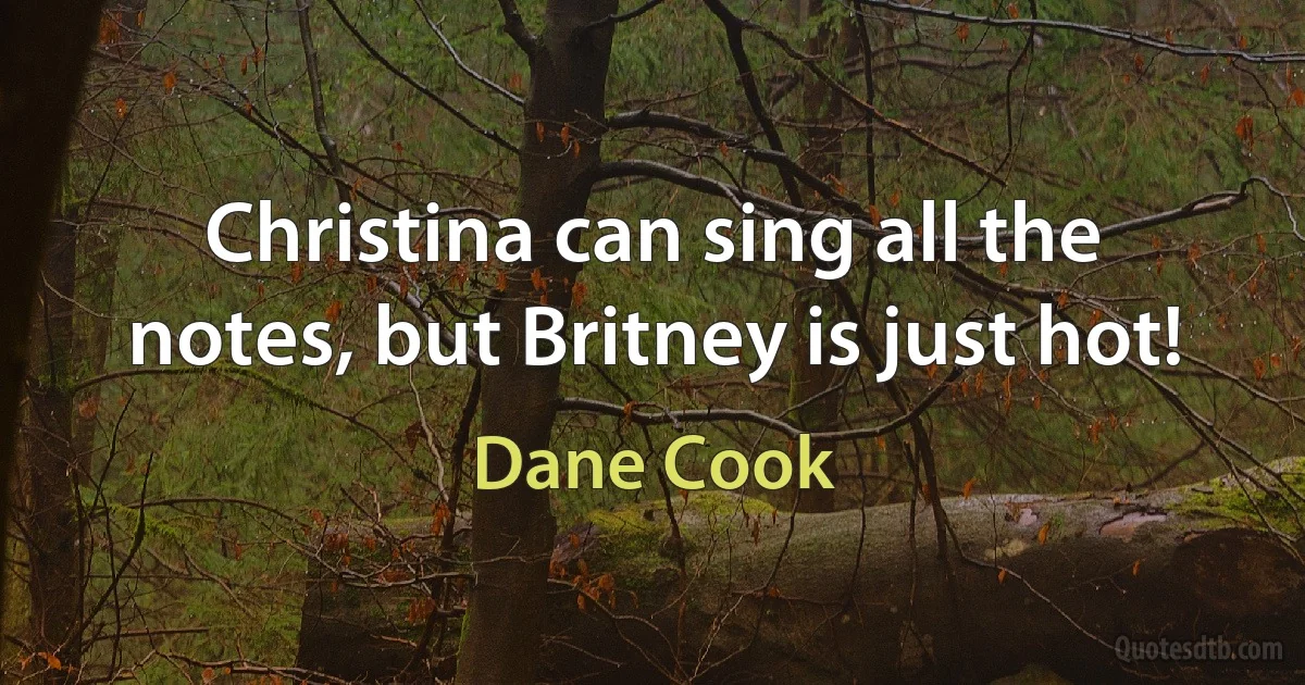 Christina can sing all the notes, but Britney is just hot! (Dane Cook)