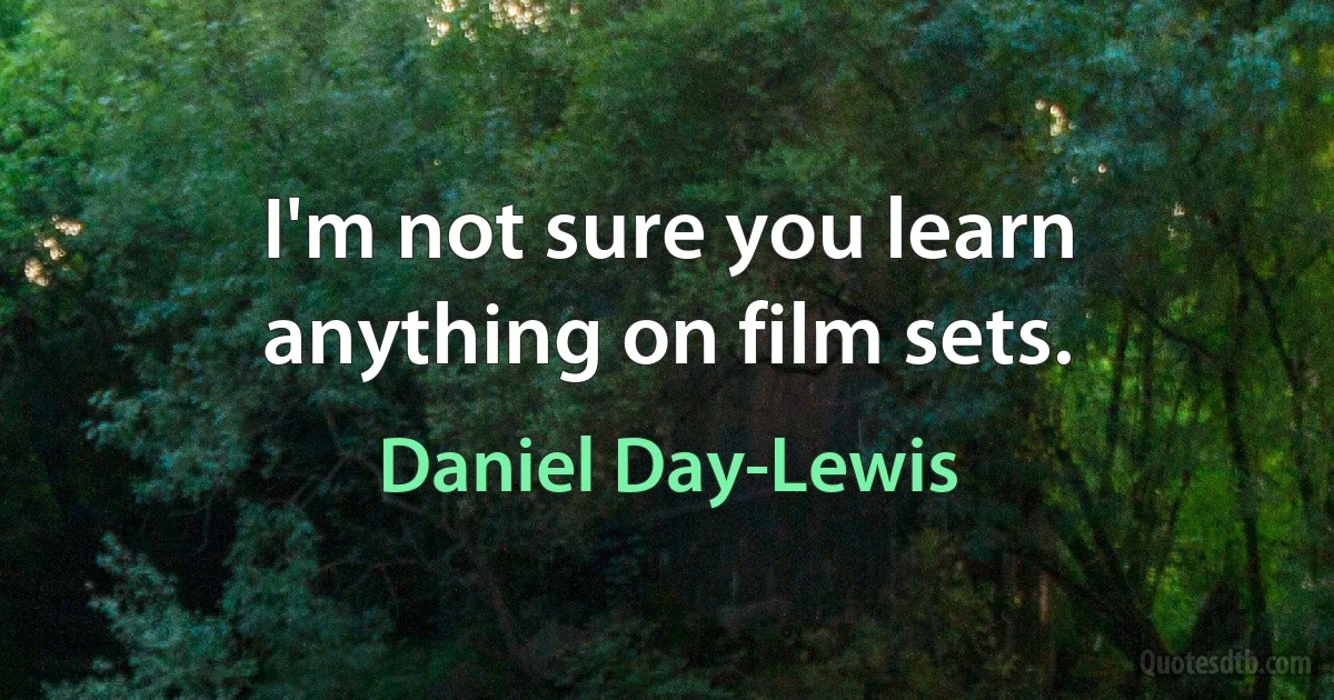 I'm not sure you learn anything on film sets. (Daniel Day-Lewis)