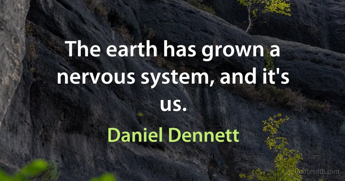 The earth has grown a nervous system, and it's us. (Daniel Dennett)