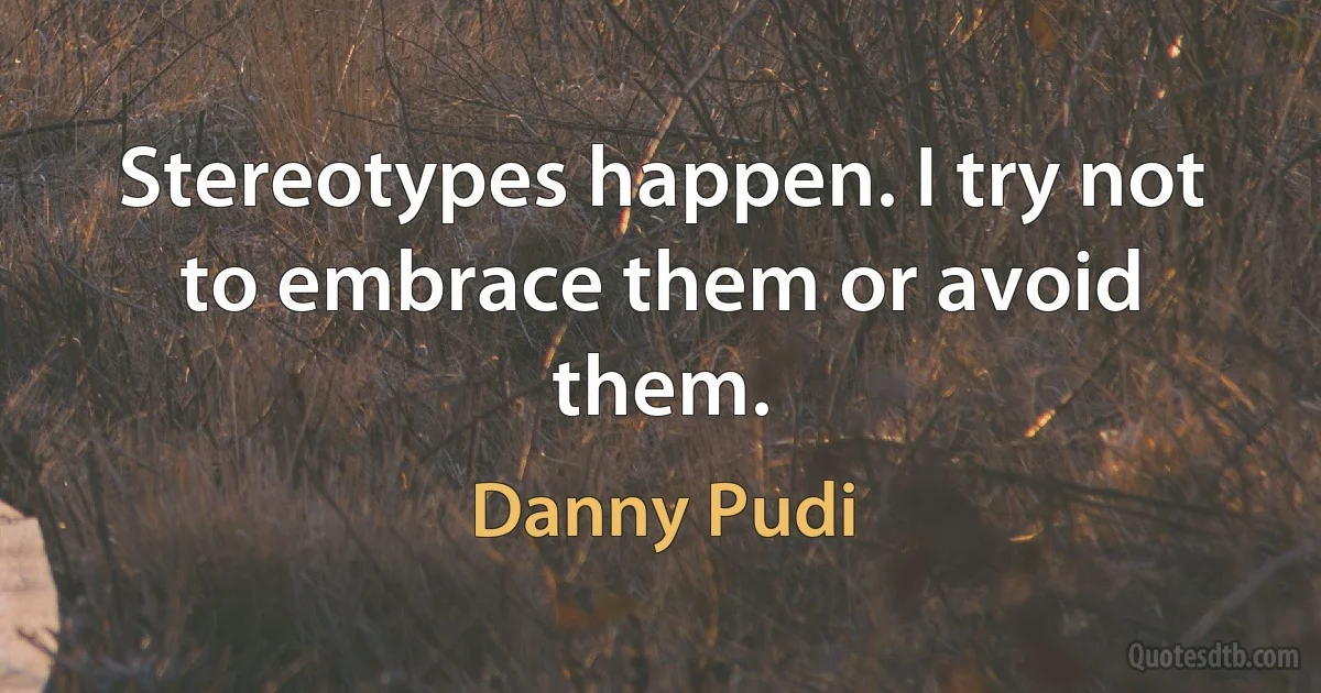 Stereotypes happen. I try not to embrace them or avoid them. (Danny Pudi)