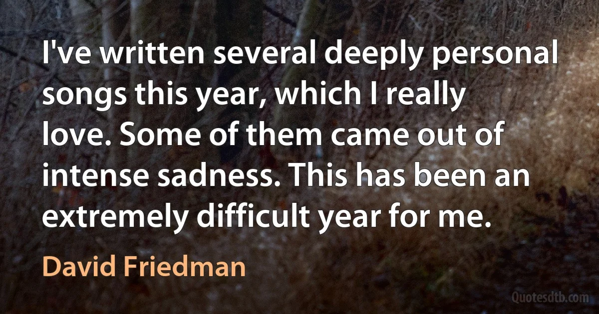 I've written several deeply personal songs this year, which I really love. Some of them came out of intense sadness. This has been an extremely difficult year for me. (David Friedman)