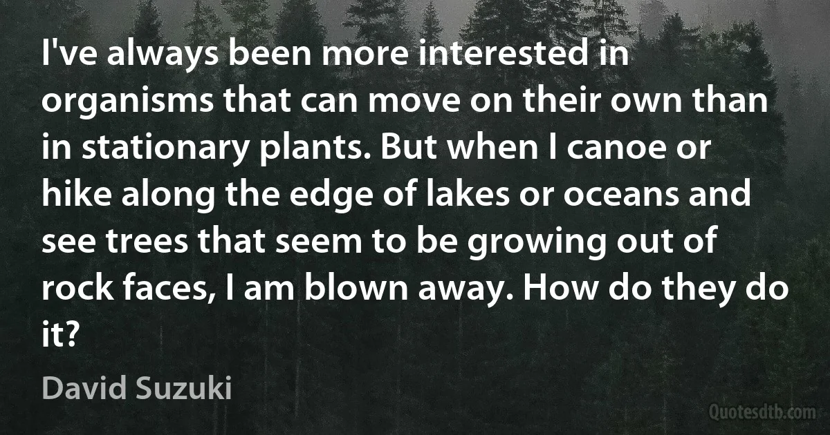 I've always been more interested in organisms that can move on their own than in stationary plants. But when I canoe or hike along the edge of lakes or oceans and see trees that seem to be growing out of rock faces, I am blown away. How do they do it? (David Suzuki)