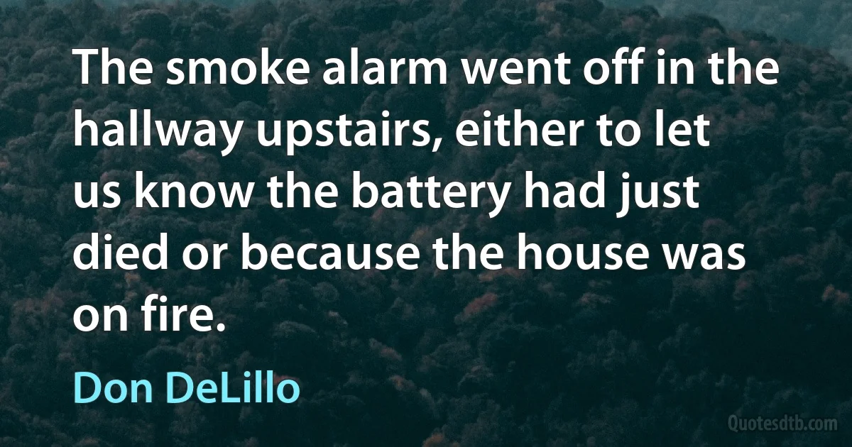 The smoke alarm went off in the hallway upstairs, either to let us know the battery had just died or because the house was on fire. (Don DeLillo)