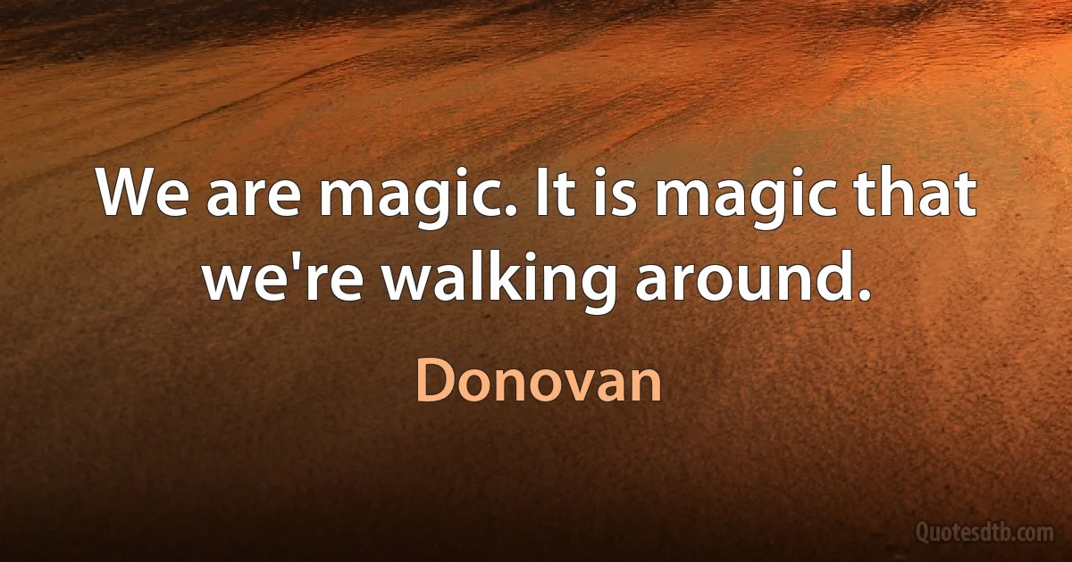 We are magic. It is magic that we're walking around. (Donovan)