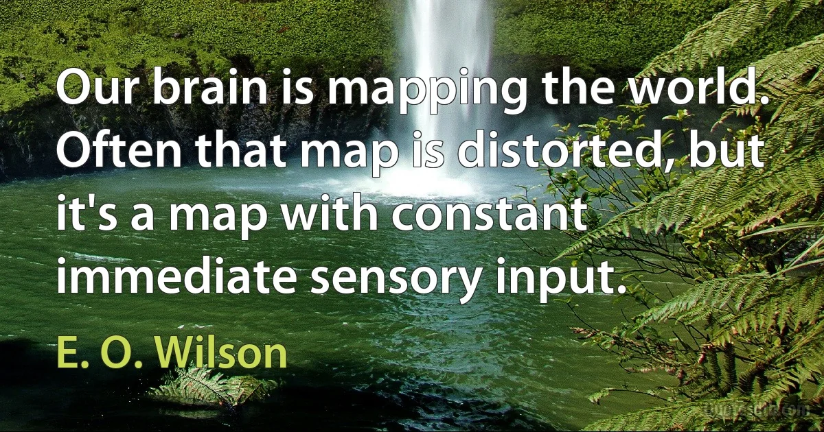 Our brain is mapping the world. Often that map is distorted, but it's a map with constant immediate sensory input. (E. O. Wilson)