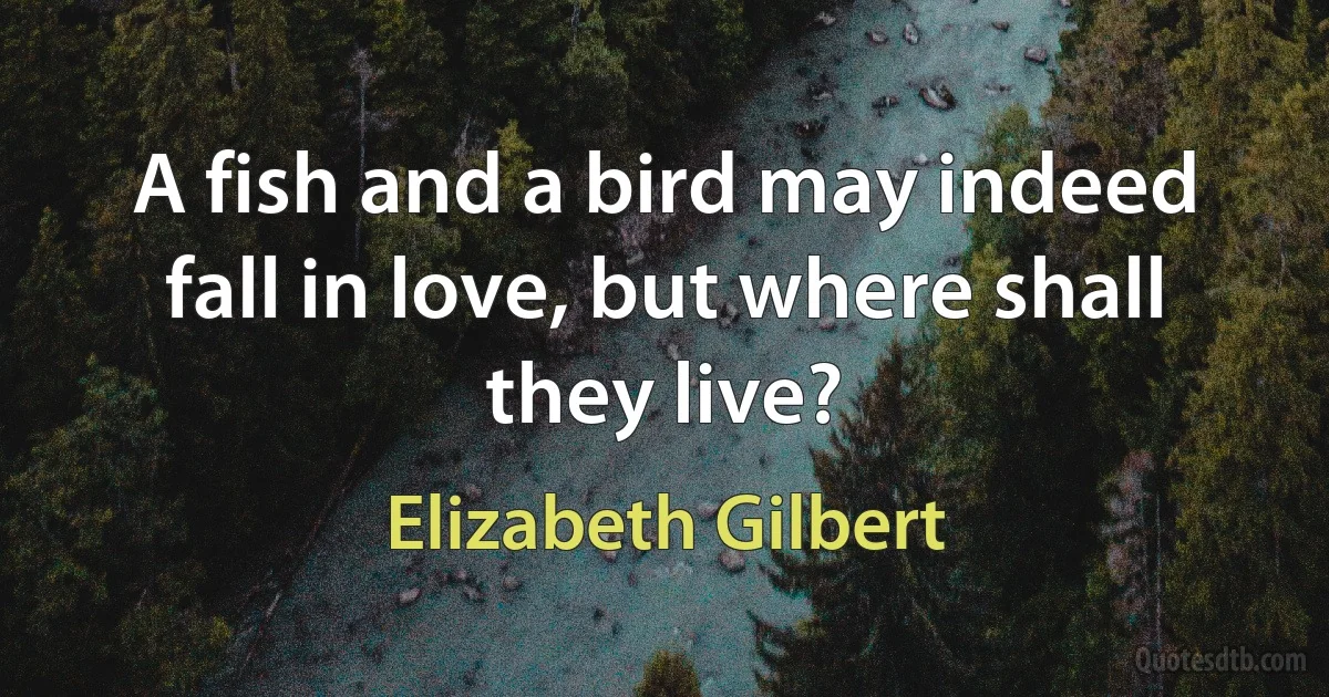 A fish and a bird may indeed fall in love, but where shall they live? (Elizabeth Gilbert)