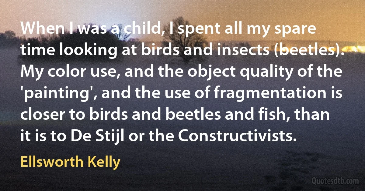 When I was a child, I spent all my spare time looking at birds and insects (beetles). My color use, and the object quality of the 'painting', and the use of fragmentation is closer to birds and beetles and fish, than it is to De Stijl or the Constructivists. (Ellsworth Kelly)