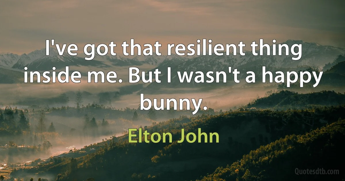 I've got that resilient thing inside me. But I wasn't a happy bunny. (Elton John)