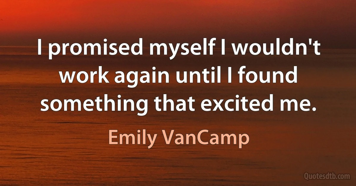 I promised myself I wouldn't work again until I found something that excited me. (Emily VanCamp)