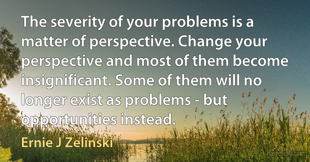 The severity of your problems is a matter of perspective. Change your perspective and most of them become insignificant. Some of them will no longer exist as problems - but opportunities instead. (Ernie J Zelinski)