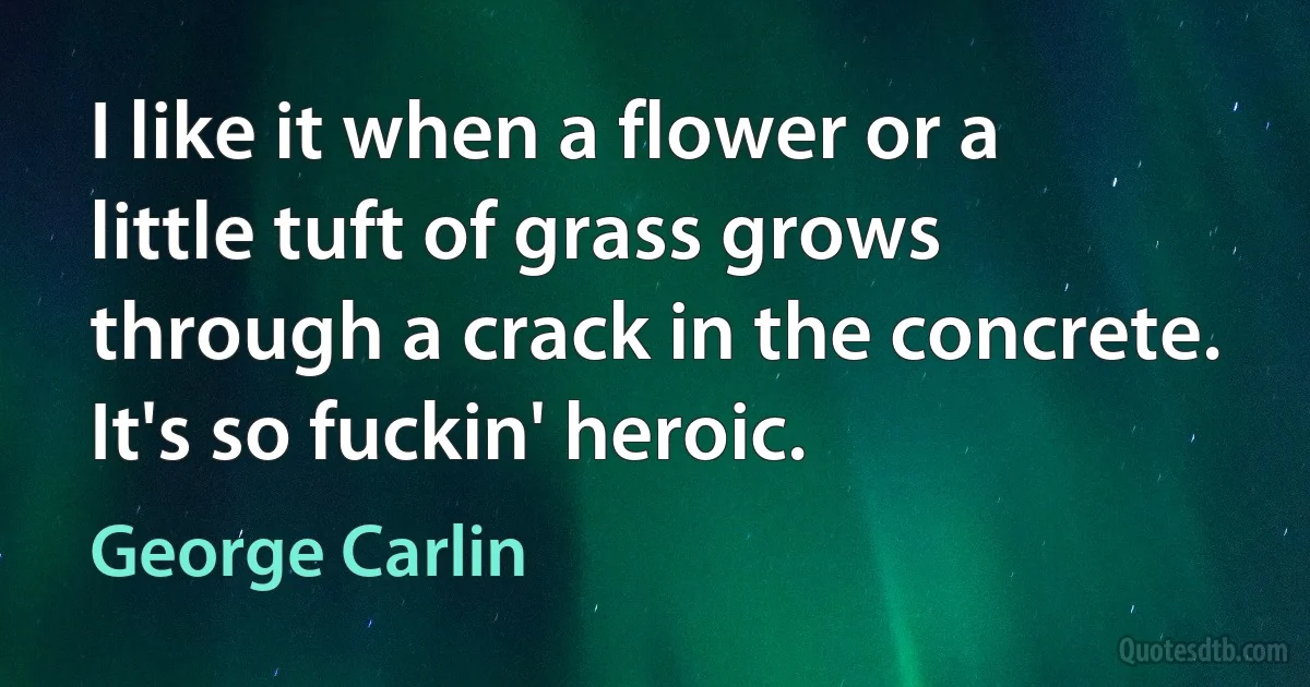 I like it when a flower or a little tuft of grass grows through a crack in the concrete. It's so fuckin' heroic. (George Carlin)