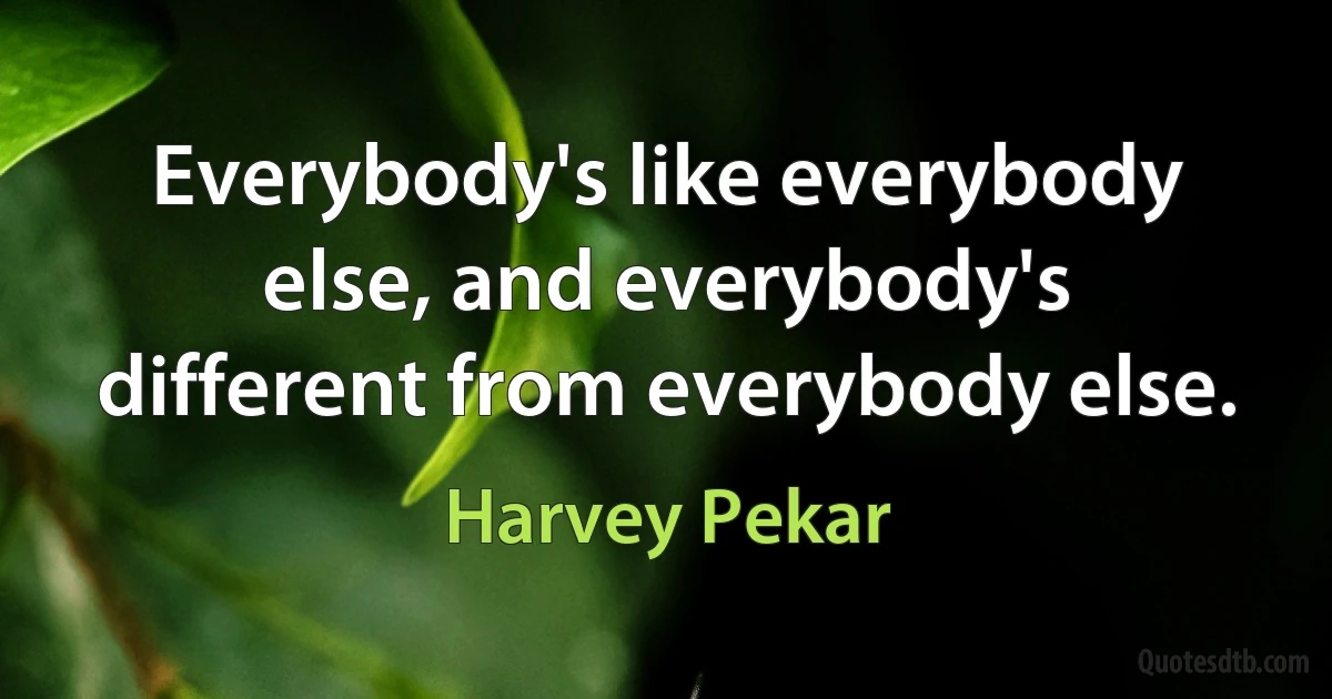 Everybody's like everybody else, and everybody's different from everybody else. (Harvey Pekar)