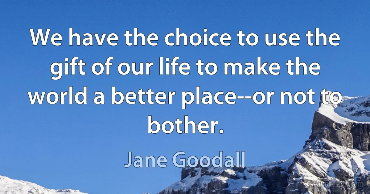 We have the choice to use the gift of our life to make the world a better place--or not to bother. (Jane Goodall)