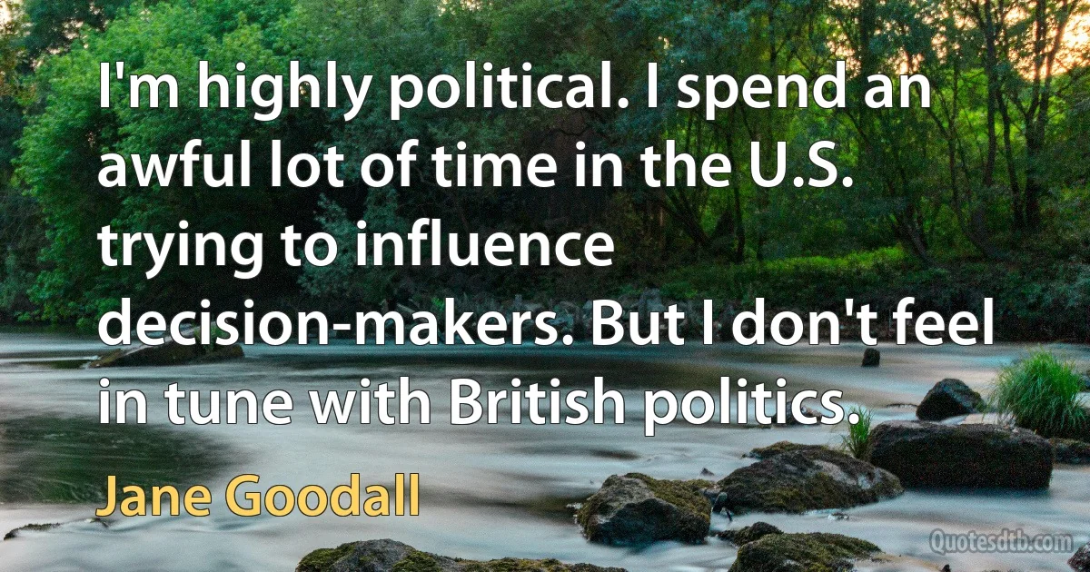 I'm highly political. I spend an awful lot of time in the U.S. trying to influence decision-makers. But I don't feel in tune with British politics. (Jane Goodall)