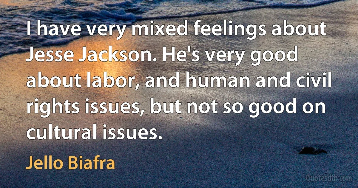 I have very mixed feelings about Jesse Jackson. He's very good about labor, and human and civil rights issues, but not so good on cultural issues. (Jello Biafra)