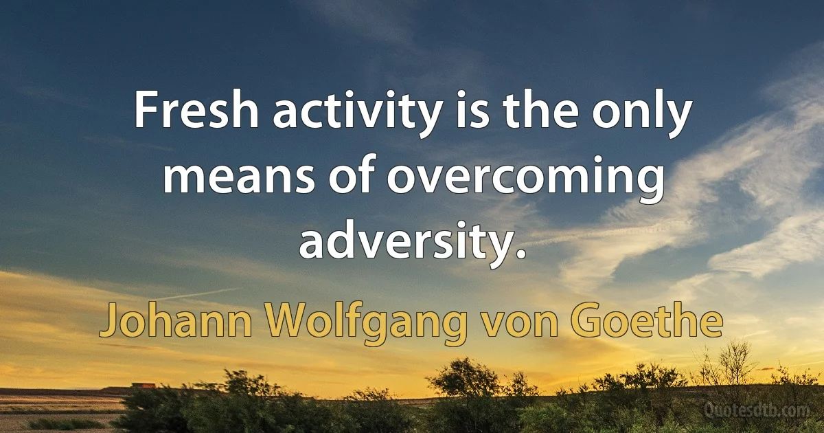 Fresh activity is the only means of overcoming adversity. (Johann Wolfgang von Goethe)