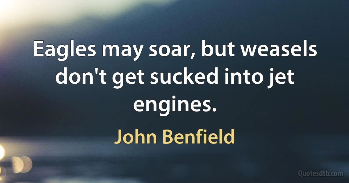 Eagles may soar, but weasels don't get sucked into jet engines. (John Benfield)