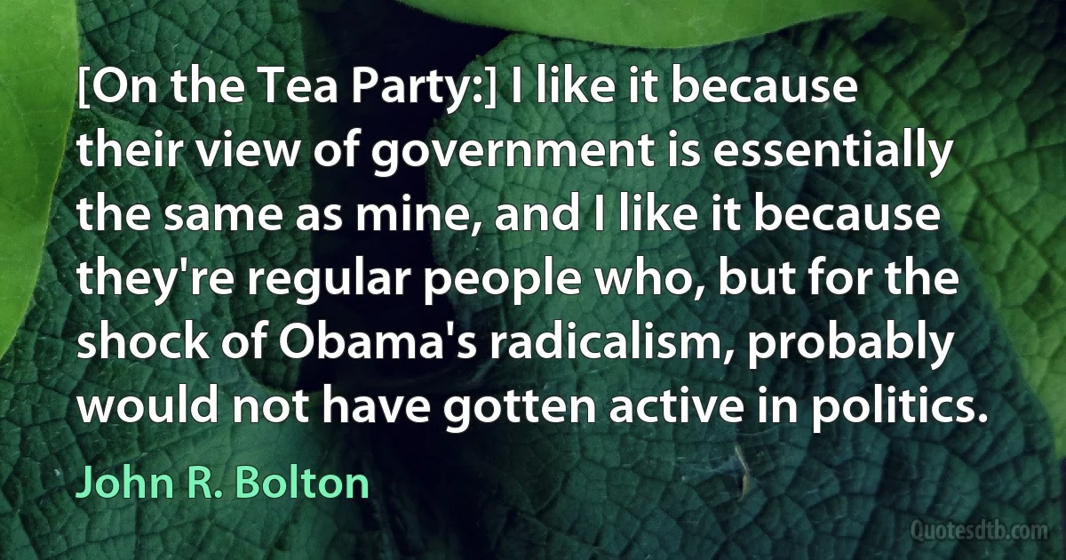 [On the Tea Party:] I like it because their view of government is essentially the same as mine, and I like it because they're regular people who, but for the shock of Obama's radicalism, probably would not have gotten active in politics. (John R. Bolton)