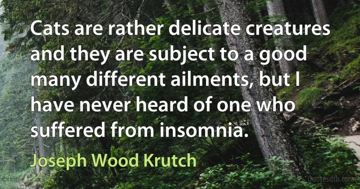 Cats are rather delicate creatures and they are subject to a good many different ailments, but I have never heard of one who suffered from insomnia. (Joseph Wood Krutch)