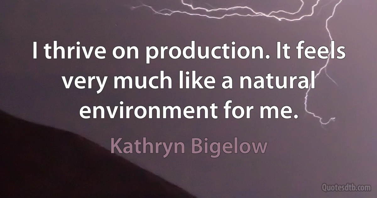 I thrive on production. It feels very much like a natural environment for me. (Kathryn Bigelow)