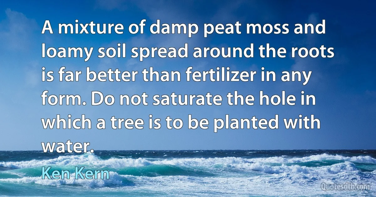 A mixture of damp peat moss and loamy soil spread around the roots is far better than fertilizer in any form. Do not saturate the hole in which a tree is to be planted with water. (Ken Kern)