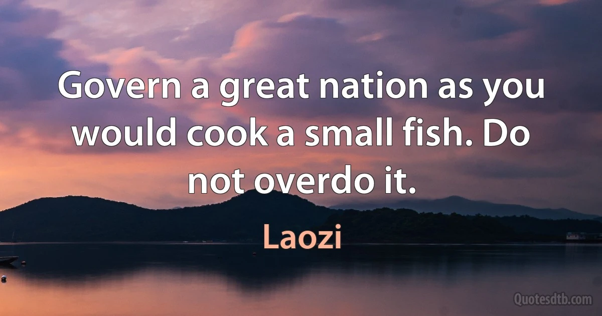 Govern a great nation as you would cook a small fish. Do not overdo it. (Laozi)