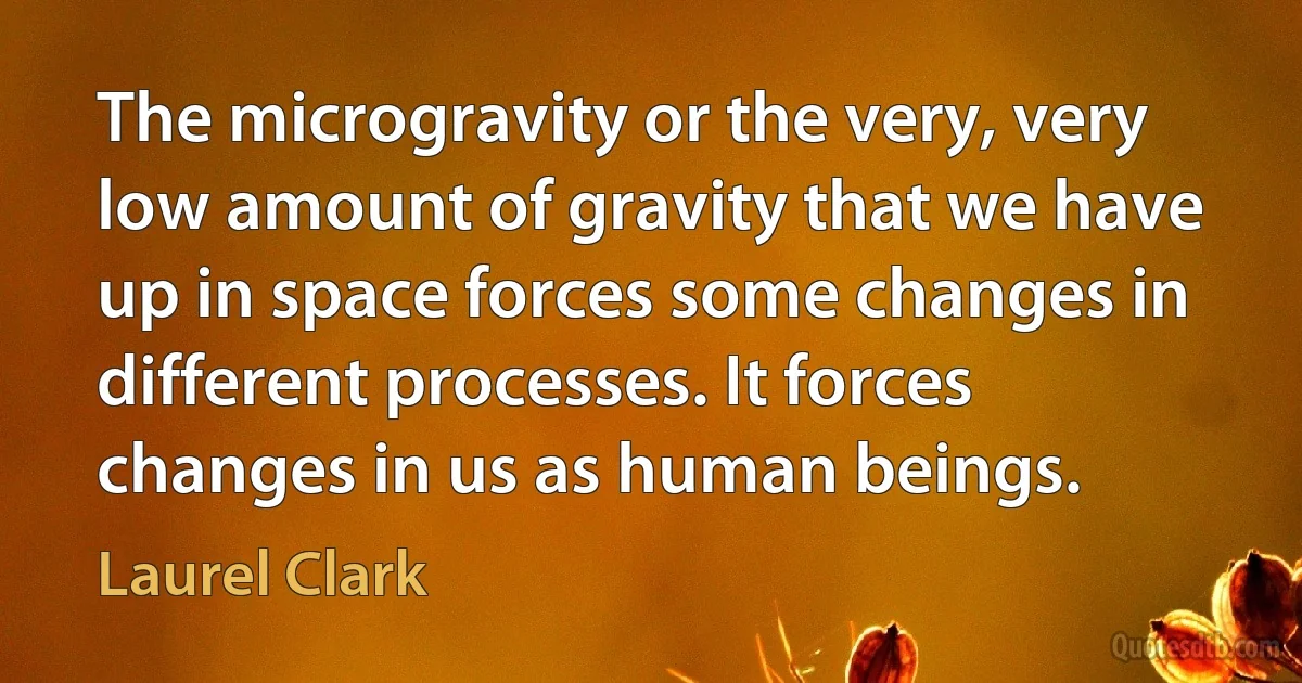 The microgravity or the very, very low amount of gravity that we have up in space forces some changes in different processes. It forces changes in us as human beings. (Laurel Clark)