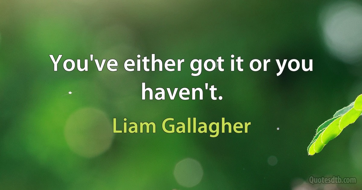 You've either got it or you haven't. (Liam Gallagher)