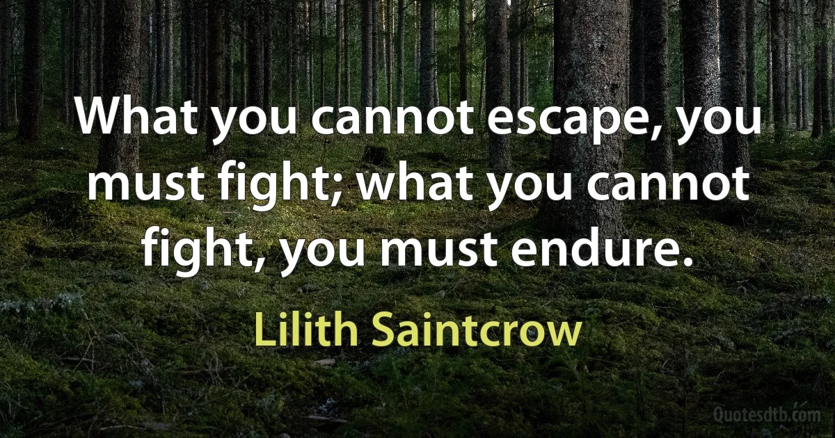 What you cannot escape, you must fight; what you cannot fight, you must endure. (Lilith Saintcrow)