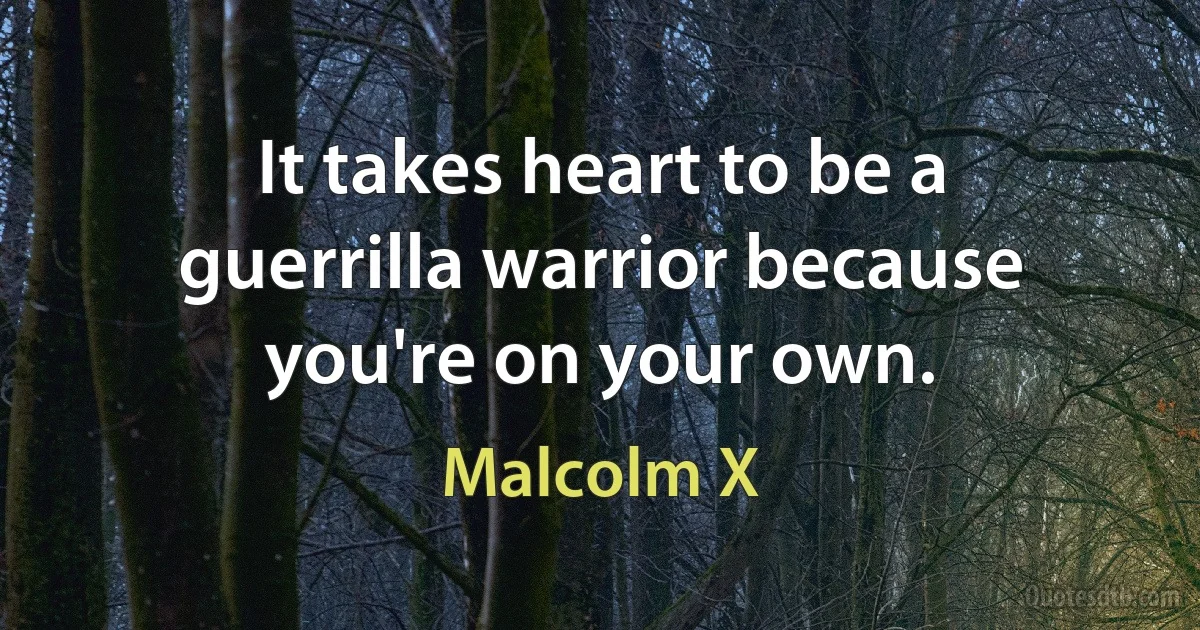 It takes heart to be a guerrilla warrior because you're on your own. (Malcolm X)