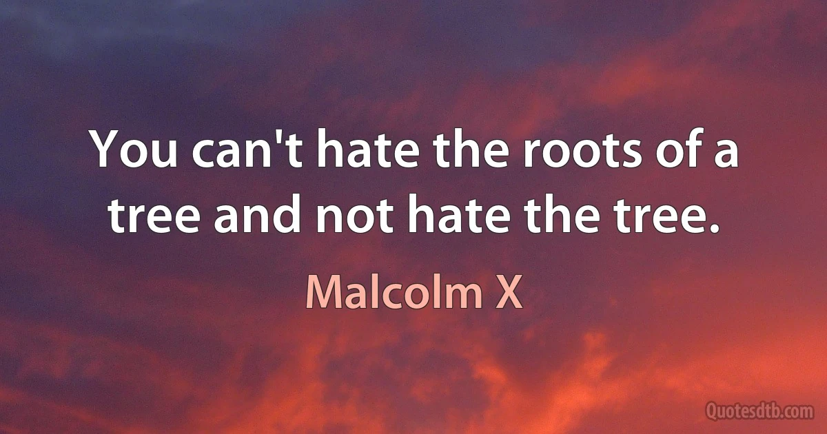 You can't hate the roots of a tree and not hate the tree. (Malcolm X)