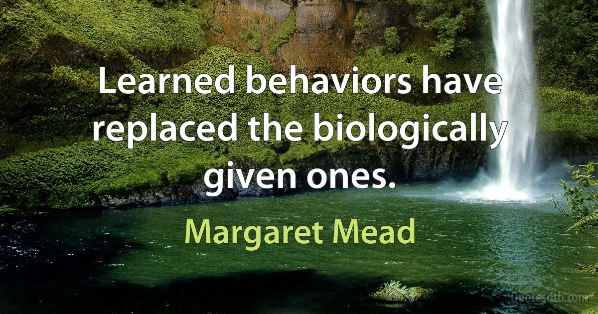 Learned behaviors have replaced the biologically given ones. (Margaret Mead)