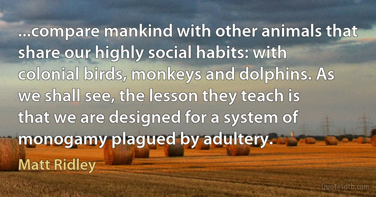 ...compare mankind with other animals that share our highly social habits: with colonial birds, monkeys and dolphins. As we shall see, the lesson they teach is that we are designed for a system of monogamy plagued by adultery. (Matt Ridley)