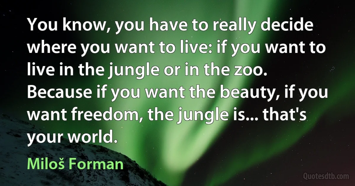 You know, you have to really decide where you want to live: if you want to live in the jungle or in the zoo. Because if you want the beauty, if you want freedom, the jungle is... that's your world. (Miloš Forman)