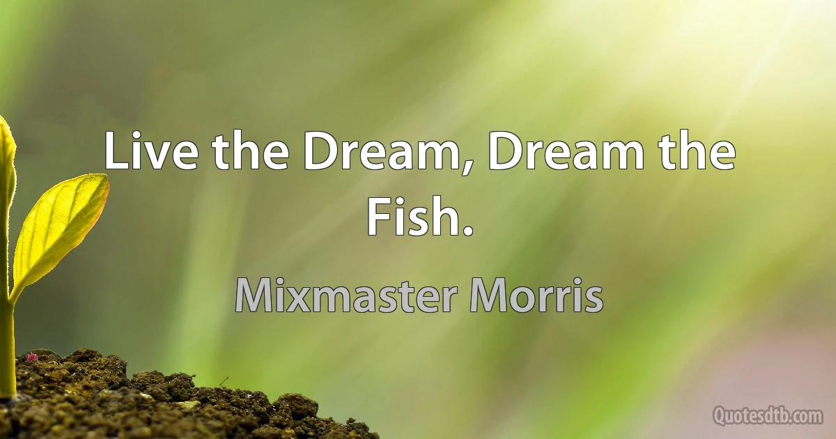 Live the Dream, Dream the Fish. (Mixmaster Morris)