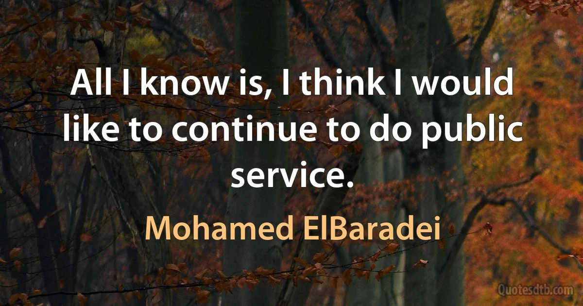 All I know is, I think I would like to continue to do public service. (Mohamed ElBaradei)