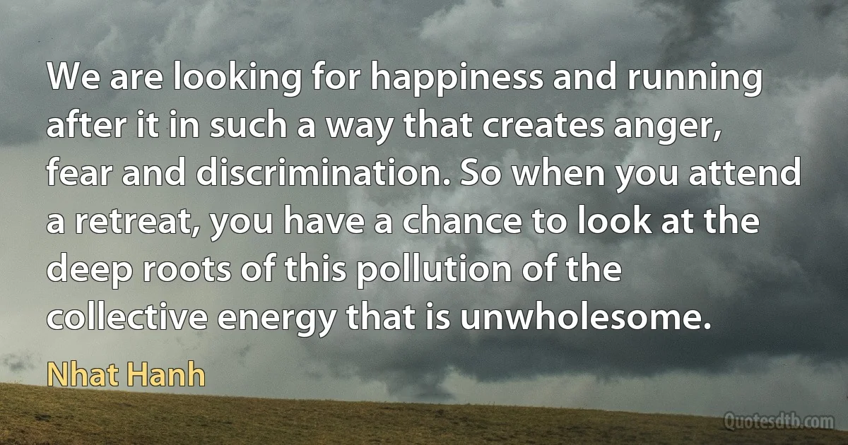 We are looking for happiness and running after it in such a way that creates anger, fear and discrimination. So when you attend a retreat, you have a chance to look at the deep roots of this pollution of the collective energy that is unwholesome. (Nhat Hanh)