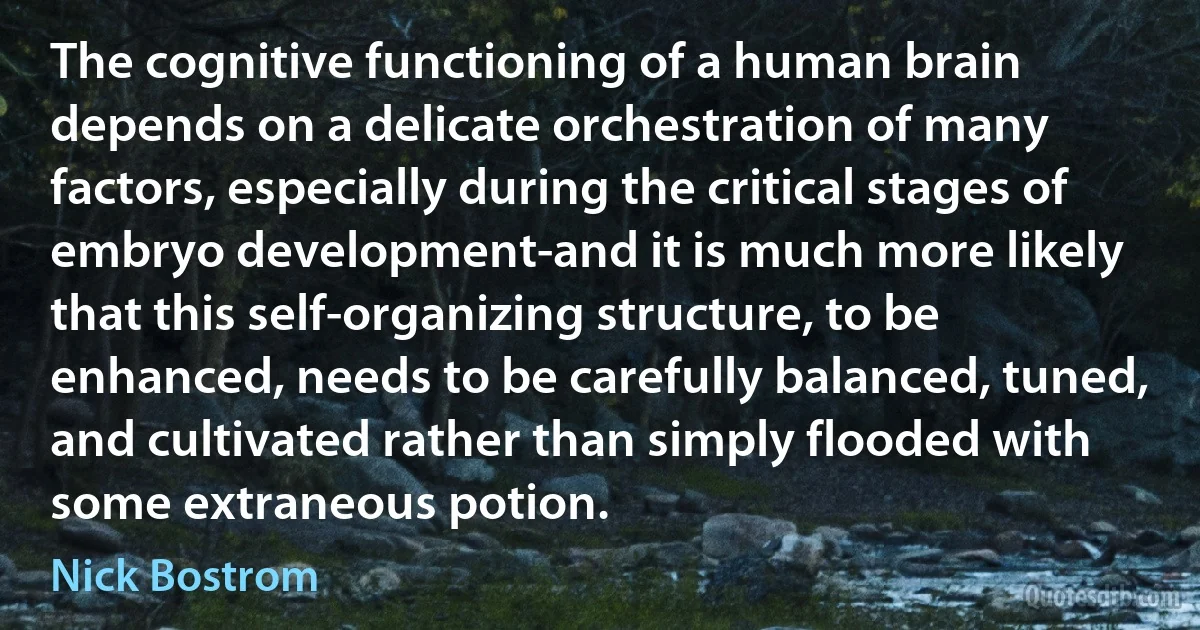 The cognitive functioning of a human brain depends on a delicate orchestration of many factors, especially during the critical stages of embryo development-and it is much more likely that this self-organizing structure, to be enhanced, needs to be carefully balanced, tuned, and cultivated rather than simply flooded with some extraneous potion. (Nick Bostrom)