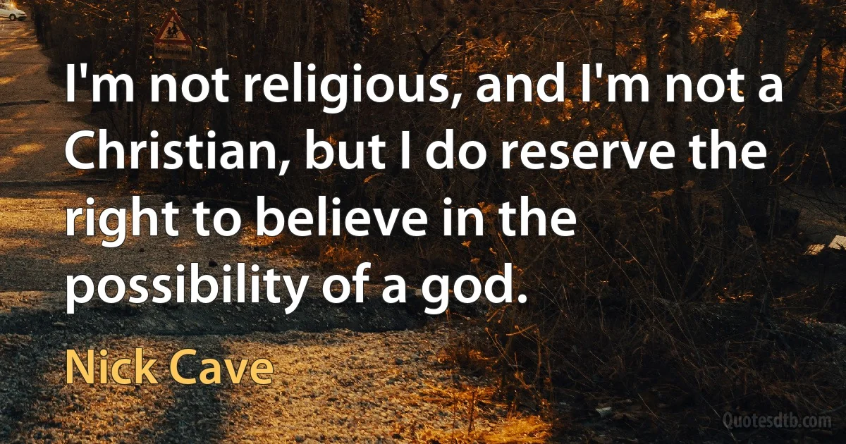 I'm not religious, and I'm not a Christian, but I do reserve the right to believe in the possibility of a god. (Nick Cave)