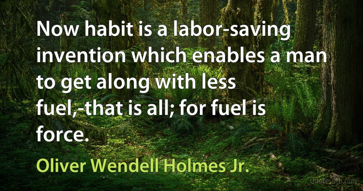 Now habit is a labor-saving invention which enables a man to get along with less fuel,-that is all; for fuel is force. (Oliver Wendell Holmes Jr.)